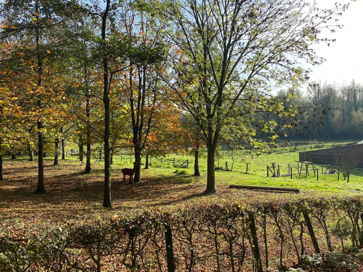 Willa Limburg Lux 90 Simpelveld Zewnętrze zdjęcie
